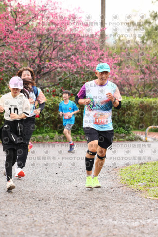 2026左岸竹東櫻花馬拉松Zhudong Sakura Marathon