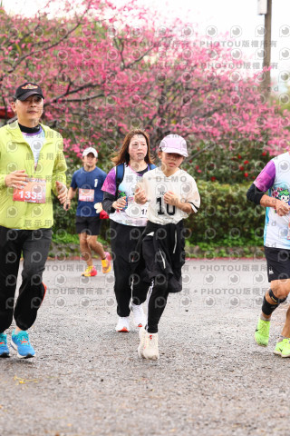 2026左岸竹東櫻花馬拉松Zhudong Sakura Marathon