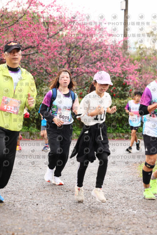 2026左岸竹東櫻花馬拉松Zhudong Sakura Marathon