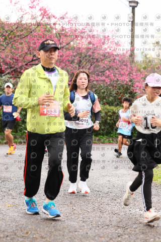 2026左岸竹東櫻花馬拉松Zhudong Sakura Marathon