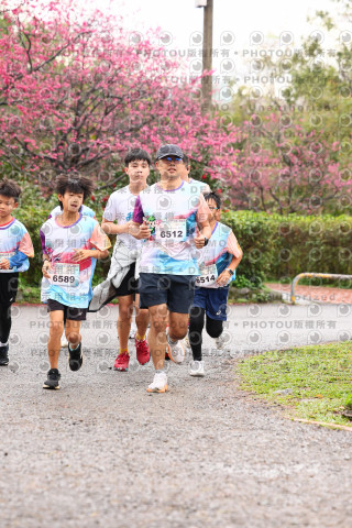 2026左岸竹東櫻花馬拉松Zhudong Sakura Marathon
