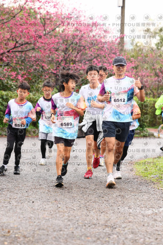 2026左岸竹東櫻花馬拉松Zhudong Sakura Marathon