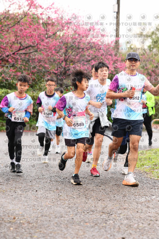 2026左岸竹東櫻花馬拉松Zhudong Sakura Marathon