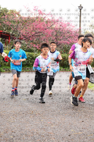 2026左岸竹東櫻花馬拉松Zhudong Sakura Marathon