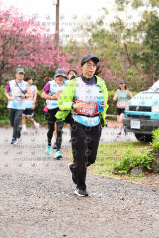 2026左岸竹東櫻花馬拉松Zhudong Sakura Marathon