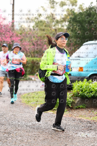 2026左岸竹東櫻花馬拉松Zhudong Sakura Marathon