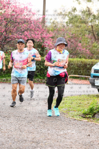 2026左岸竹東櫻花馬拉松Zhudong Sakura Marathon