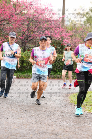2026左岸竹東櫻花馬拉松Zhudong Sakura Marathon