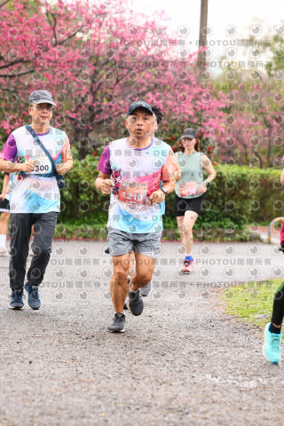 2026左岸竹東櫻花馬拉松Zhudong Sakura Marathon