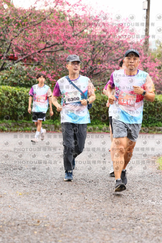 2026左岸竹東櫻花馬拉松Zhudong Sakura Marathon