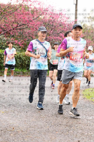 2026左岸竹東櫻花馬拉松Zhudong Sakura Marathon