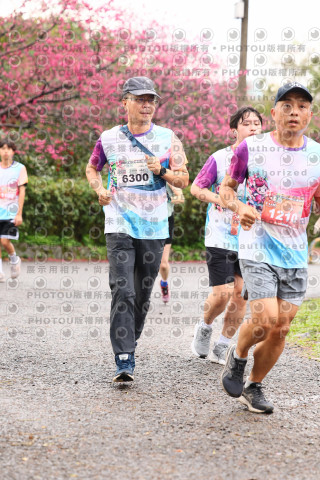 2026左岸竹東櫻花馬拉松Zhudong Sakura Marathon