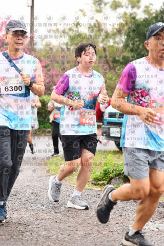 2026左岸竹東櫻花馬拉松Zhudong Sakura Marathon