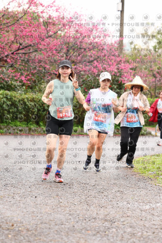 2026左岸竹東櫻花馬拉松Zhudong Sakura Marathon