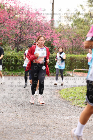2026左岸竹東櫻花馬拉松Zhudong Sakura Marathon
