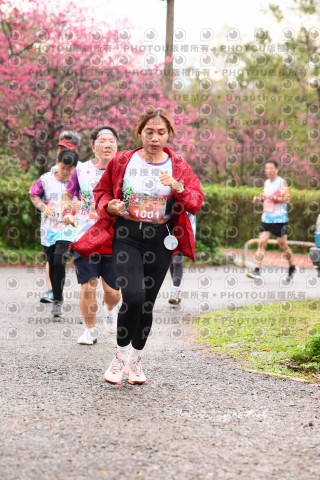 2026左岸竹東櫻花馬拉松Zhudong Sakura Marathon