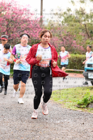 2026左岸竹東櫻花馬拉松Zhudong Sakura Marathon