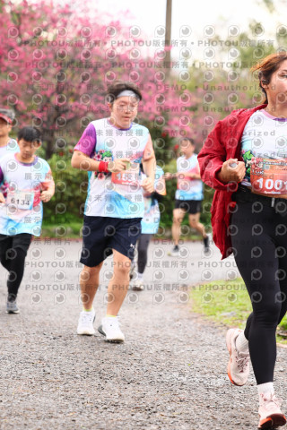 2026左岸竹東櫻花馬拉松Zhudong Sakura Marathon