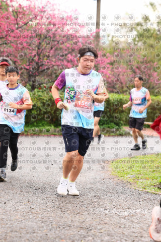 2026左岸竹東櫻花馬拉松Zhudong Sakura Marathon