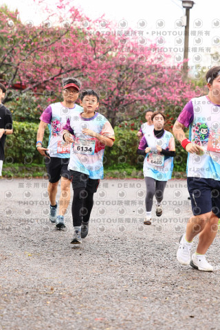 2026左岸竹東櫻花馬拉松Zhudong Sakura Marathon