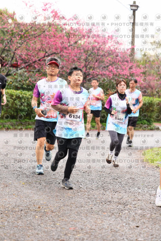 2026左岸竹東櫻花馬拉松Zhudong Sakura Marathon