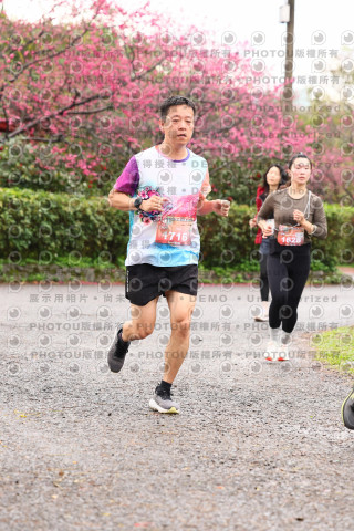 2026左岸竹東櫻花馬拉松Zhudong Sakura Marathon