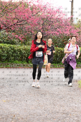 2026左岸竹東櫻花馬拉松Zhudong Sakura Marathon