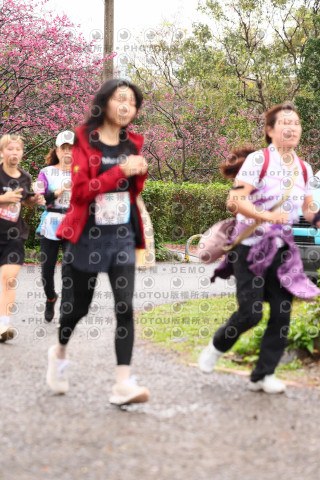 2026左岸竹東櫻花馬拉松Zhudong Sakura Marathon