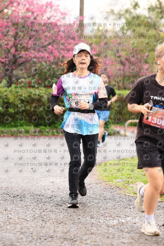 2026左岸竹東櫻花馬拉松Zhudong Sakura Marathon