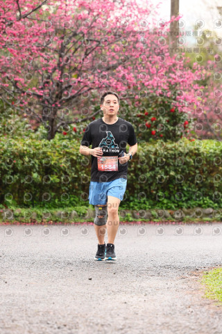 2026左岸竹東櫻花馬拉松Zhudong Sakura Marathon