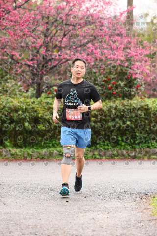 2026左岸竹東櫻花馬拉松Zhudong Sakura Marathon