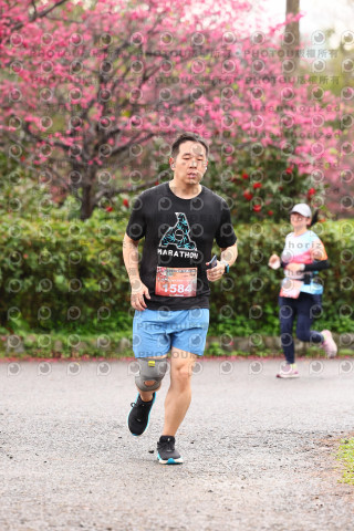 2026左岸竹東櫻花馬拉松Zhudong Sakura Marathon