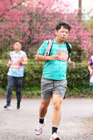 2026左岸竹東櫻花馬拉松Zhudong Sakura Marathon