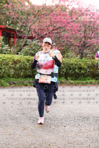 2026左岸竹東櫻花馬拉松Zhudong Sakura Marathon