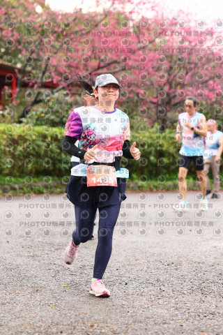 2026左岸竹東櫻花馬拉松Zhudong Sakura Marathon