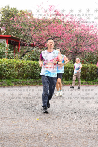 2026左岸竹東櫻花馬拉松Zhudong Sakura Marathon