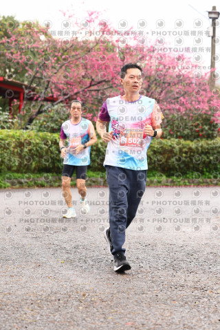 2026左岸竹東櫻花馬拉松Zhudong Sakura Marathon
