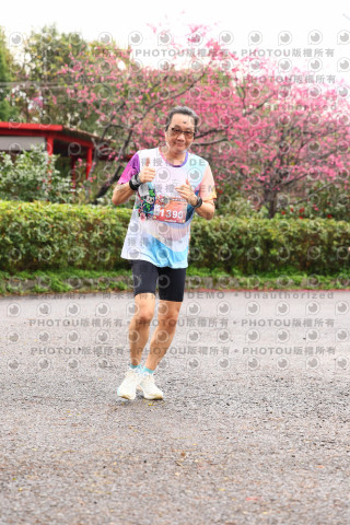 2026左岸竹東櫻花馬拉松Zhudong Sakura Marathon