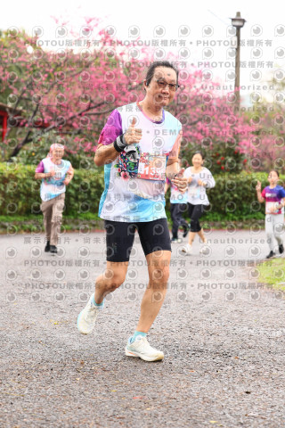 2026左岸竹東櫻花馬拉松Zhudong Sakura Marathon