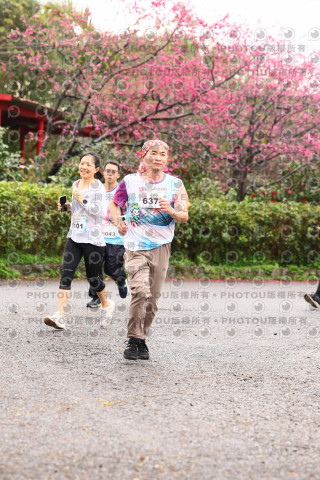 2026左岸竹東櫻花馬拉松Zhudong Sakura Marathon