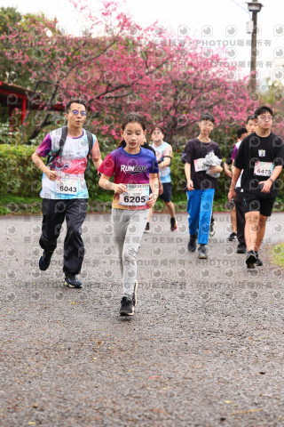 2026左岸竹東櫻花馬拉松Zhudong Sakura Marathon