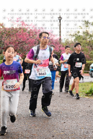 2026左岸竹東櫻花馬拉松Zhudong Sakura Marathon