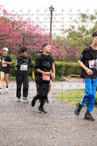 2026左岸竹東櫻花馬拉松Zhudong Sakura Marathon
