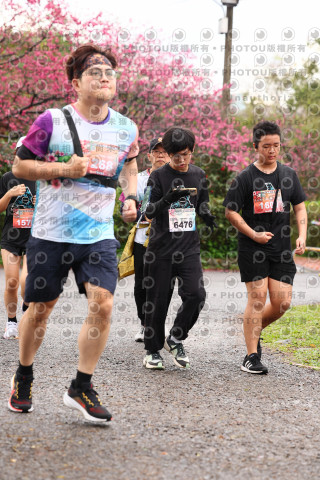 2026左岸竹東櫻花馬拉松Zhudong Sakura Marathon