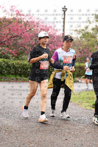 2026左岸竹東櫻花馬拉松Zhudong Sakura Marathon