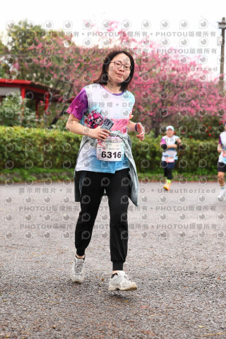 2026左岸竹東櫻花馬拉松Zhudong Sakura Marathon