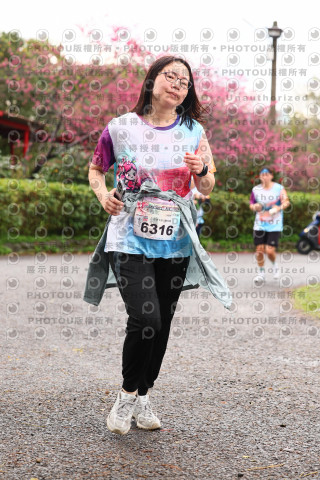 2026左岸竹東櫻花馬拉松Zhudong Sakura Marathon