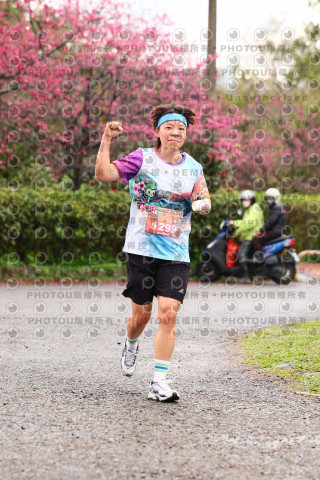 2026左岸竹東櫻花馬拉松Zhudong Sakura Marathon