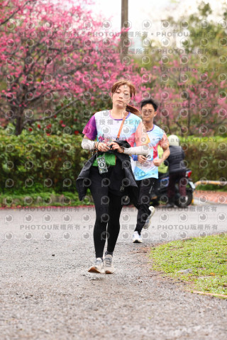 2026左岸竹東櫻花馬拉松Zhudong Sakura Marathon