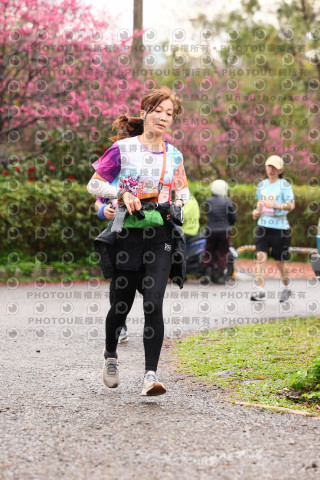 2026左岸竹東櫻花馬拉松Zhudong Sakura Marathon